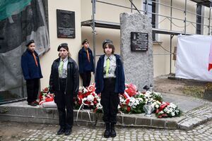 11 listopada w Świebodzicach