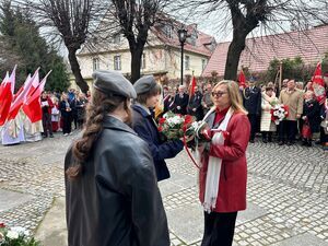 11 listopada w Świebodzicach