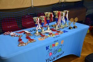 Mini Liga Siatkówki w Świebodzicach – sportowe emocje i młodzieńcza energia!