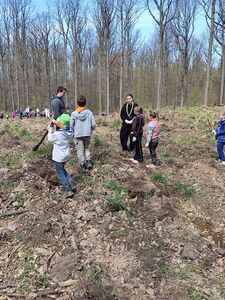 Mieszkańcy i Strażnicy Ochrony Przyrody posadzili 1000 jodeł