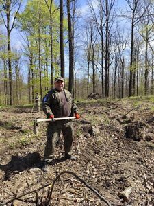 Mieszkańcy i Strażnicy Ochrony Przyrody posadzili 1000 jodeł
