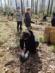 Mieszkańcy i Strażnicy Ochrony Przyrody posadzili 1000 jodeł