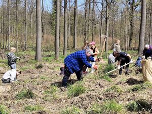 Mieszkańcy i Strażnicy Ochrony Przyrody posadzili 1000 jodeł