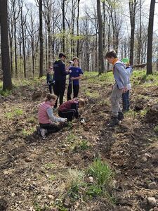 Mieszkańcy i Strażnicy Ochrony Przyrody posadzili 1000 jodeł