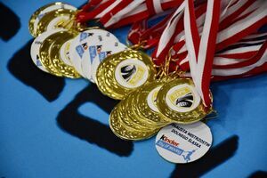 Wielki finał młodych siatkarzy w Świebodzicach