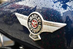 Mimo kapryśnej pogody – motocykliści nie zawiedli! XIV Zlot Motocykli w Świebodzicach  