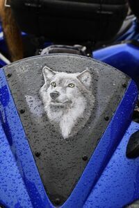 Mimo kapryśnej pogody – motocykliści nie zawiedli! XIV Zlot Motocykli w Świebodzicach  