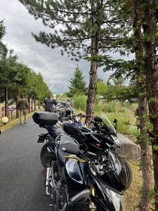 Mimo kapryśnej pogody – motocykliści nie zawiedli! XIV Zlot Motocykli w Świebodzicach  