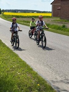 Z konstytucją na rowerze po raz czwarty