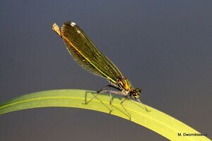 GOK zaprasza na wystawę fotograficzną