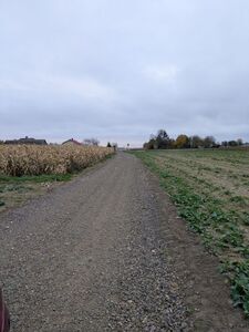 Modernizacja (przebudowa) drogi dojazdowej do gruntów rolnych w Łychowie Gościeradowskim, Gmina Trzydnik Duży