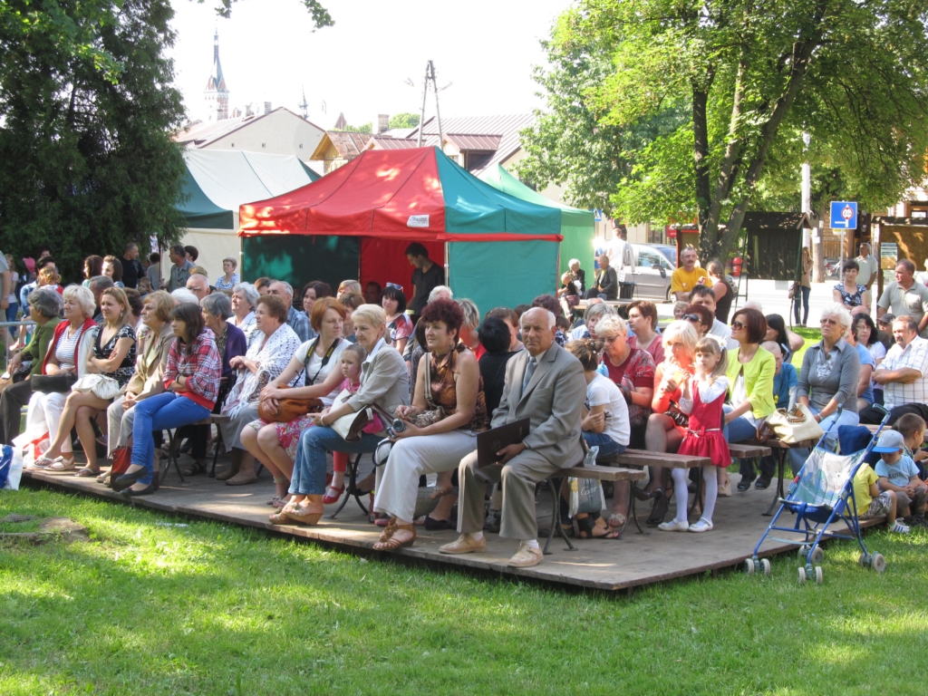 Dni Wąwolnicy 2013