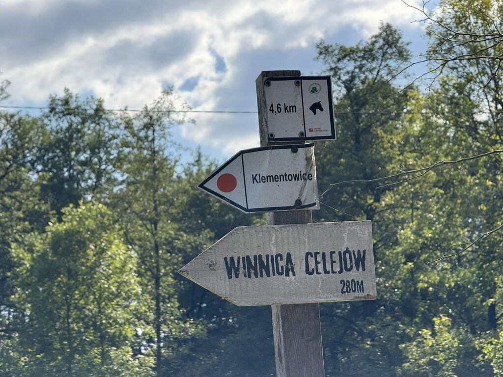 Modernizacja drogi w miejscowości Celejów - Iłki