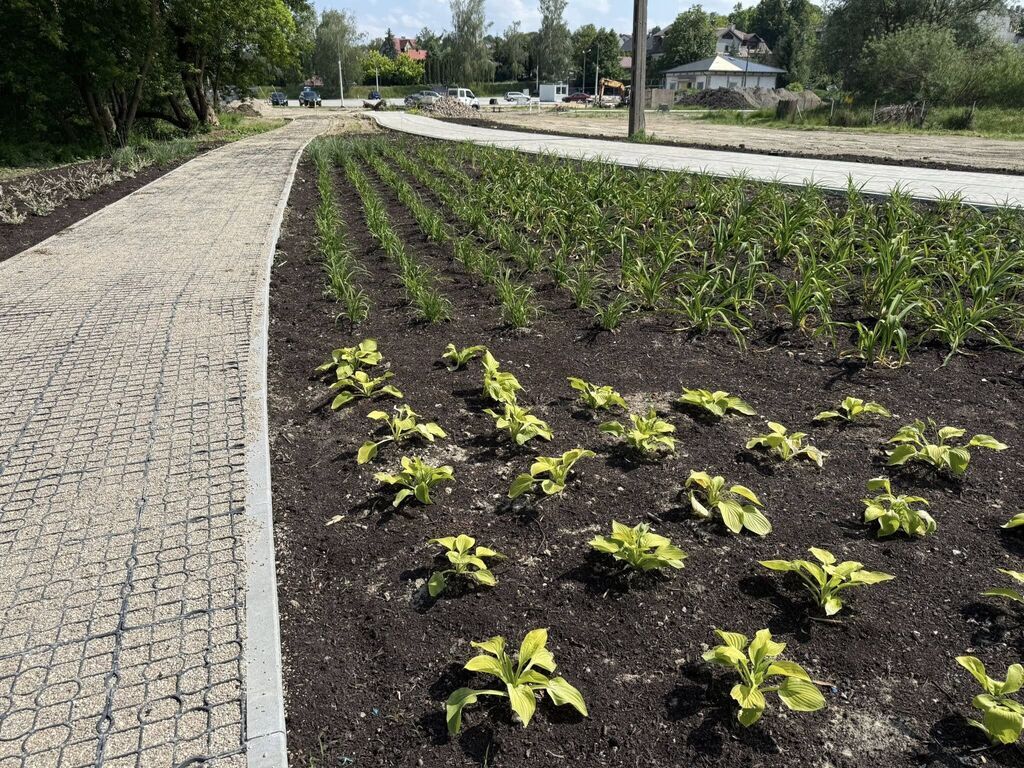 Modernizacja placu targowego w Wąwolnicy