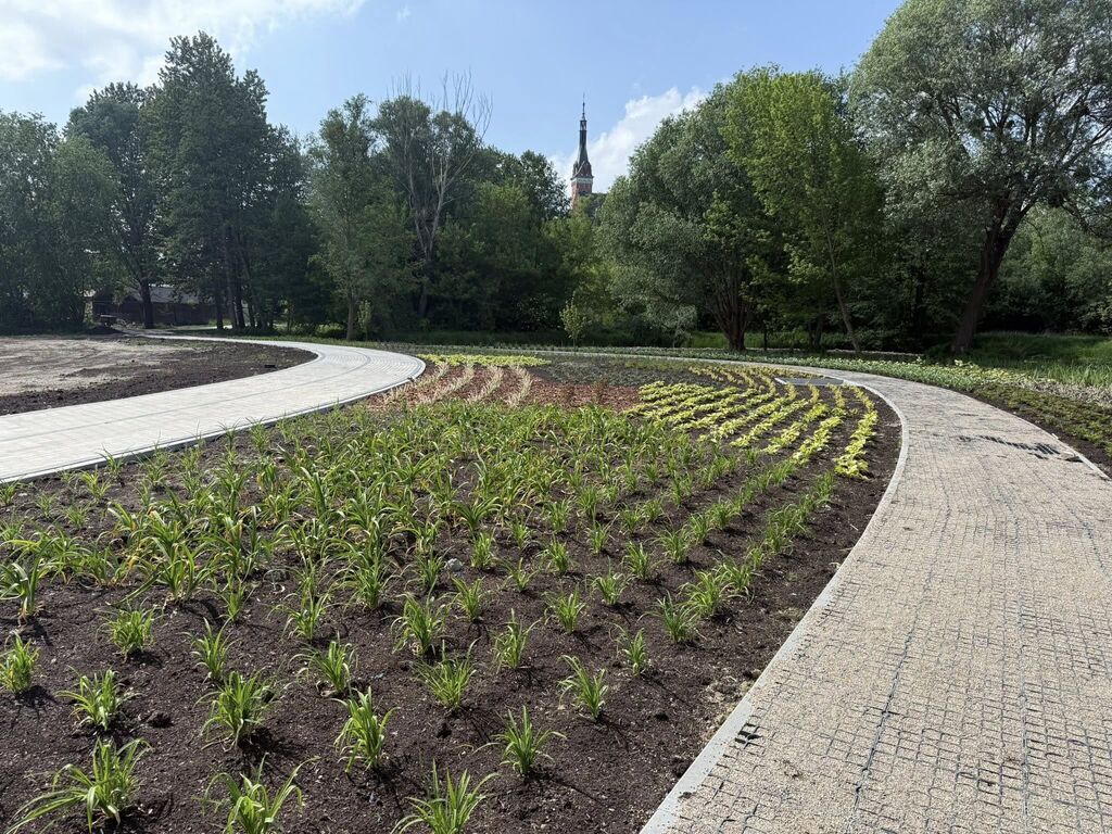 Modernizacja placu targowego w Wąwolnicy