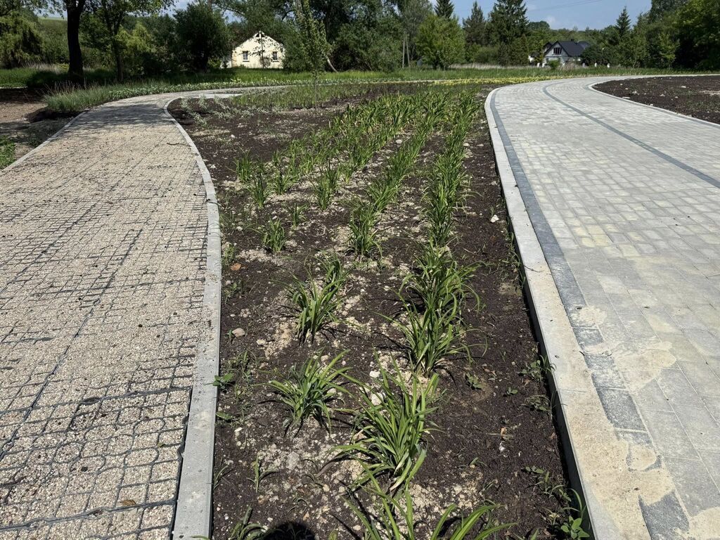 Modernizacja placu targowego w Wąwolnicy