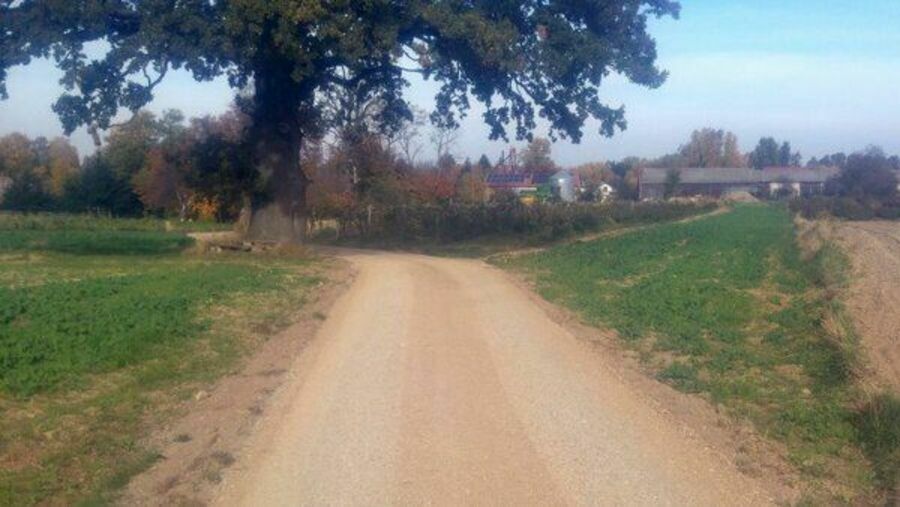 
                                                       Droga do gruntów rolnych Łubki-Szlachta w przebudowie
                                                