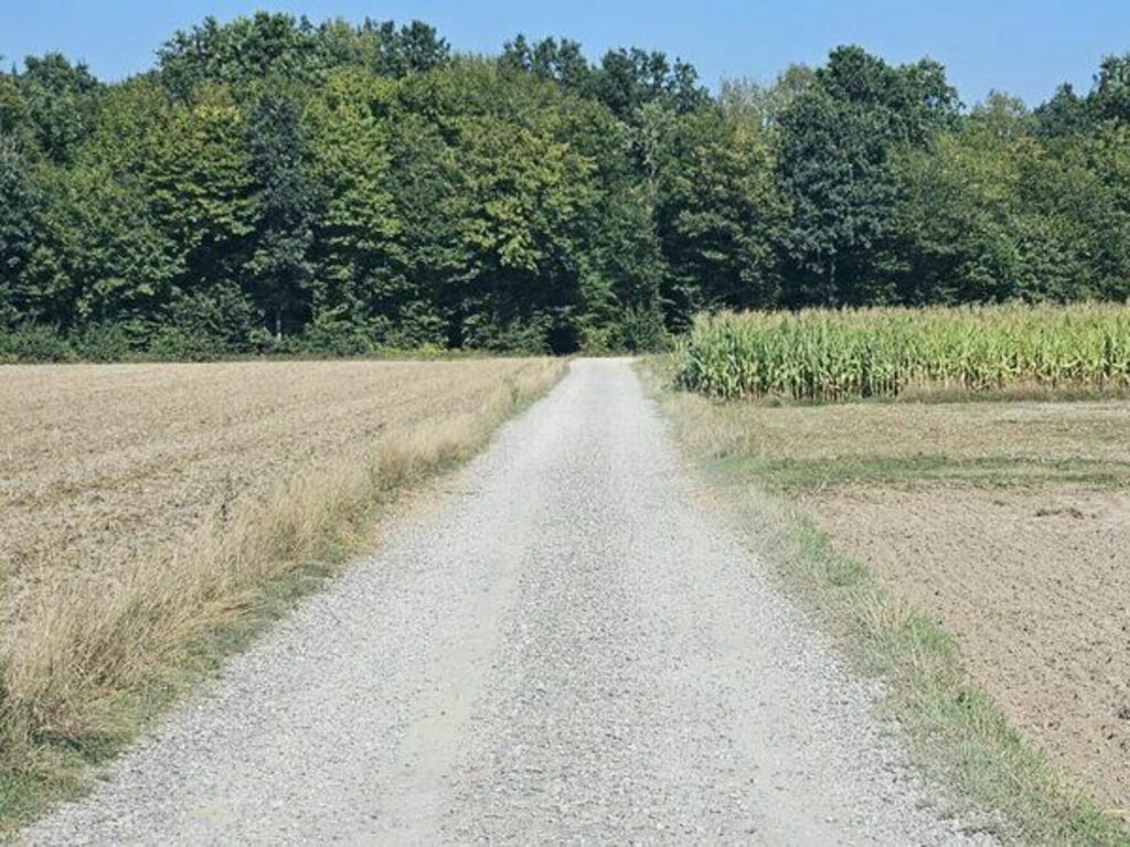 
                                                    Będą nowe drogi w Starym Gaju i w Nowym Gaju
                                                