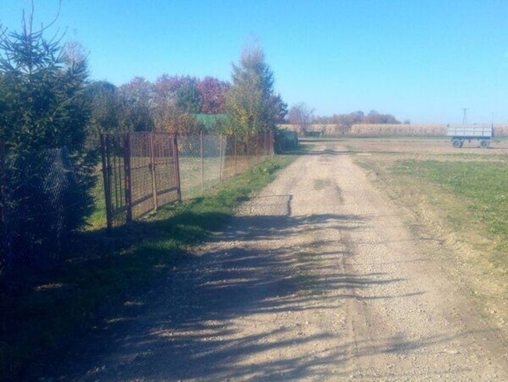 
                                                    Utwardzona droga gruntowa biegnie pomiędzy polami i drzewami pod niebieskim niebem. Po lewej płot z siatki, na horyzoncie widoczne pojazdy rolnicze.
                                                