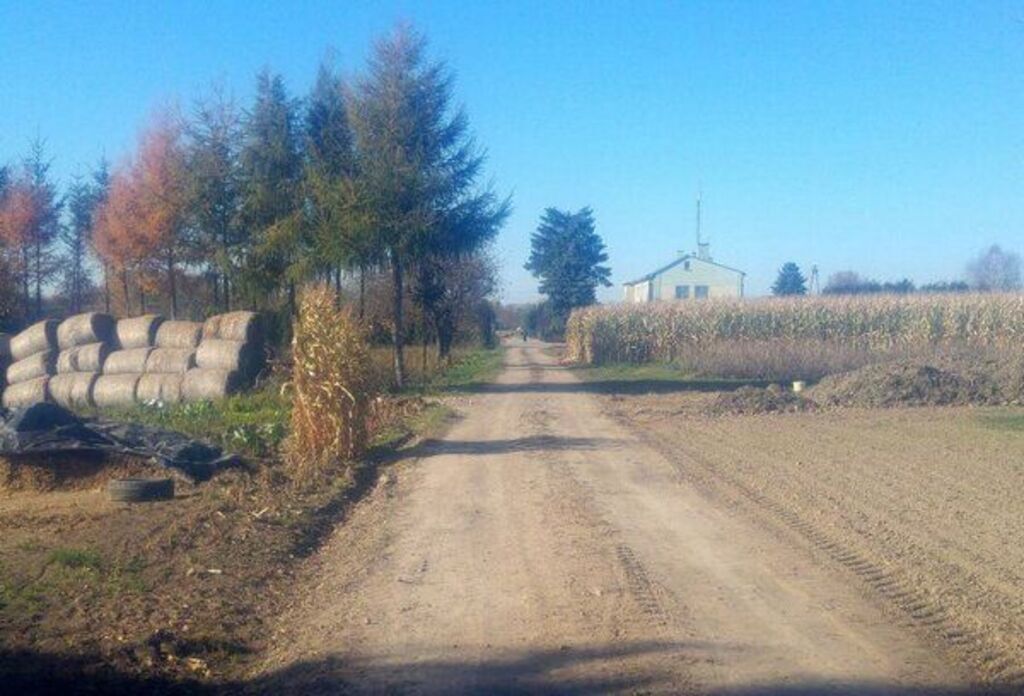 
                                                    Droga gruntowa między polami, po bokach bele słomy i drzewa, w tle budynek z wieżą, niebieskie niebo.
                                                