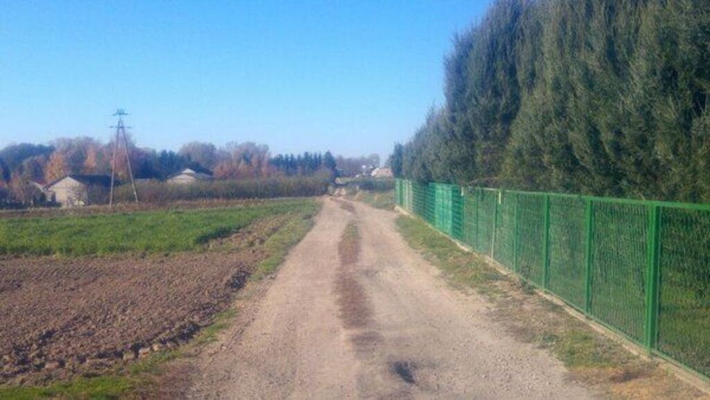 
                                                    Zdjęcie przedstawia wiejską, nieutwardzoną drogę prowadzącą wzdłuż zielonego ogrodzenia, z polami po obu stronach i drzewami w tle.
                                                