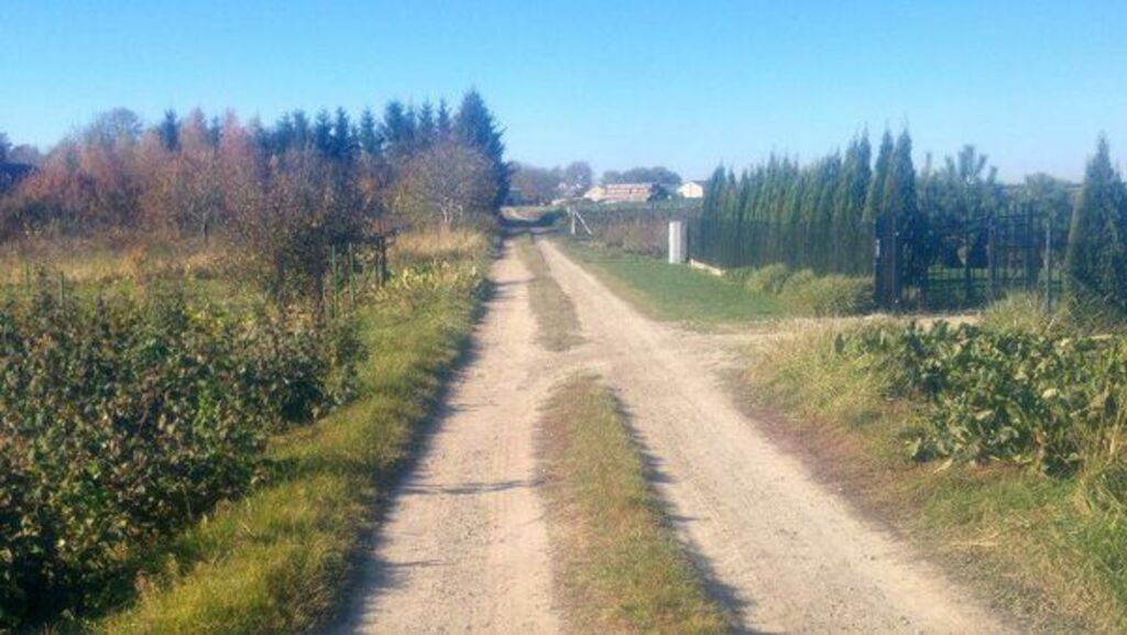 
                                                    Nierówna, szutrowa droga wiejska wiedzie przez pola i zarośla; w tle drzewa i niebieskie niebo.
                                                