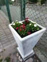 doniczka z kwiatami na terenie Krukowa