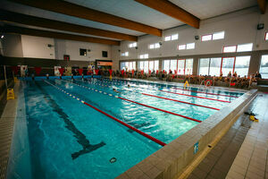 Mistrzostwa Gminy Żarów Szkół Podstawowych w Pływaniu