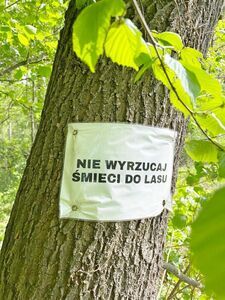 Wspólne sprzątanie wsi - Wierzbna