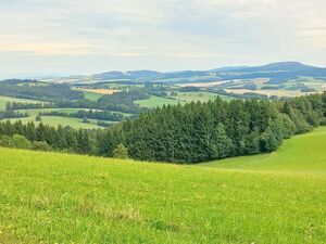 Żarodreptaki w Sudetach Wschodnich w Czechach