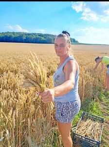 Mieszkańcy przygotowują dożynkowe wieńce