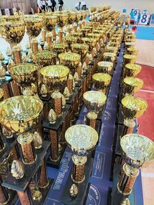 Sukcesy na Mistrzostwach Polski Sekcji Taekwon-Do Żarów