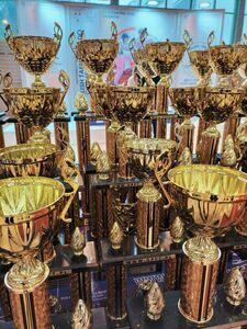 Sukcesy na Mistrzostwach Polski Sekcji Taekwon-Do Żarów
