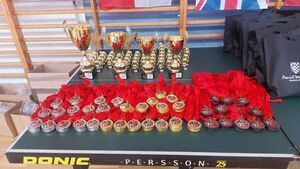 Worek MEDALI dla Kickboxing Fighter Żarów