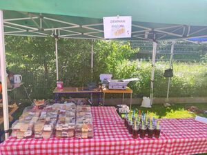 Piknik rodzinny w Szkole Podstawowej w Mrowinach