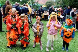 9. Święto Dyni w Wierzbnej