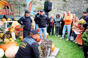 9. Święto Dyni w Wierzbnej