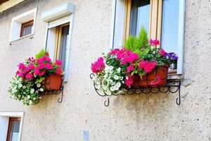 Wybieramy najpiękniejsze ogrody i balkony
