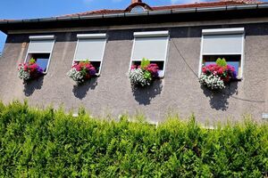 Wybieramy najpiękniejsze ogrody i balkony