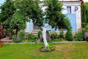 Wybieramy najpiękniejsze ogrody i balkony