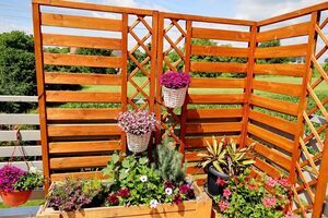 Wybieramy najpiękniejsze ogrody i balkony