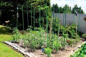 Wybieramy najpiękniejsze ogrody i balkony