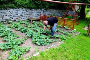 Wybieramy najpiękniejsze ogrody i balkony