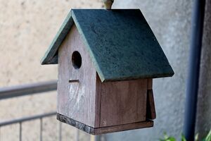 Wybieramy najpiękniejsze ogrody i balkony