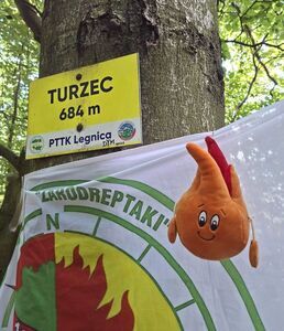 PTTK "Żarodreptaki" na wycieczce w Górach Ołowianych