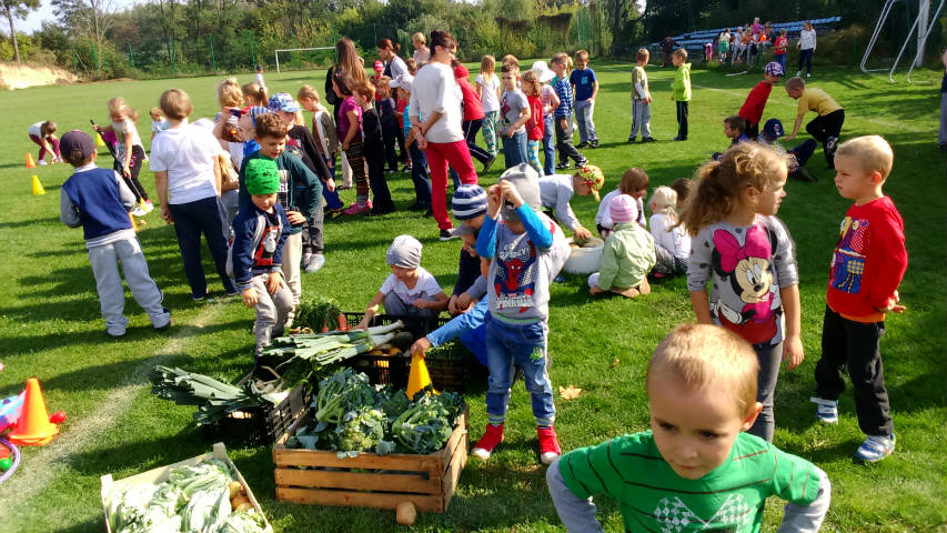 Dzień Pieczonego Ziemniaka w Grupie III