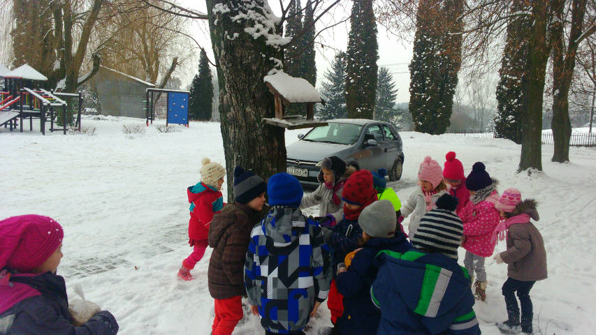 Zimą pomagamy zwierzętom