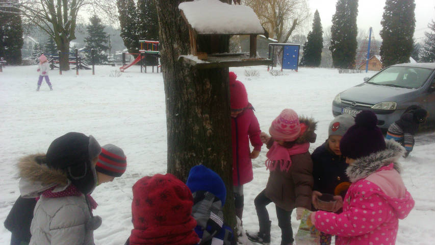 Zimą pomagamy zwierzętom