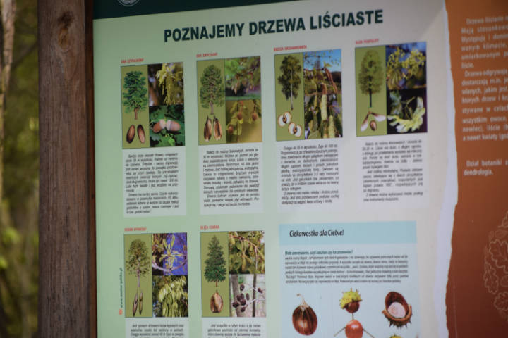 Lasy Kozłowieckie