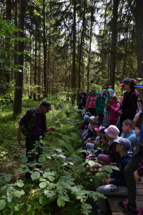 Wycieczka do Białowieży